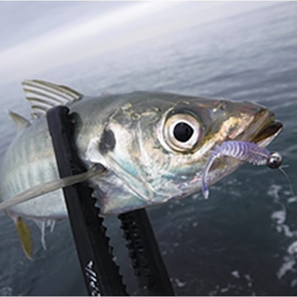 月下美人 アジングビームFAT 1.5インチ